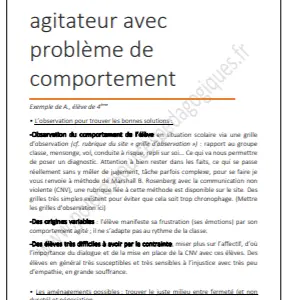 gestion du comportement cycle 2