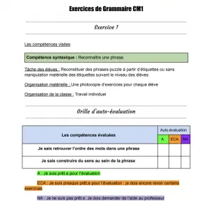 grammaire cm1 exercices