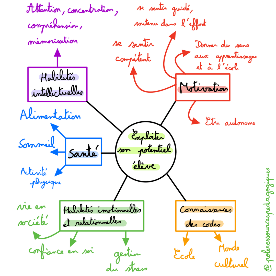 exploiter potentiel eleve