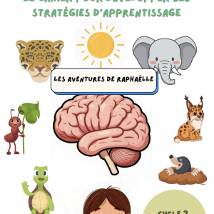 cahier d'activités cycle 3