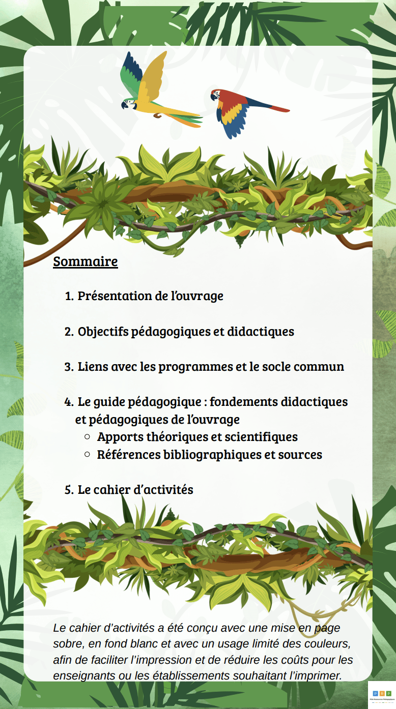 cahier d'activités sommaire