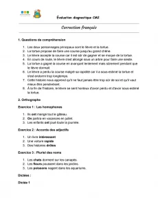 evaluation diagnostique cm2