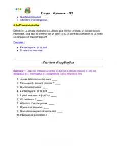 exercices les types de phrases ce2